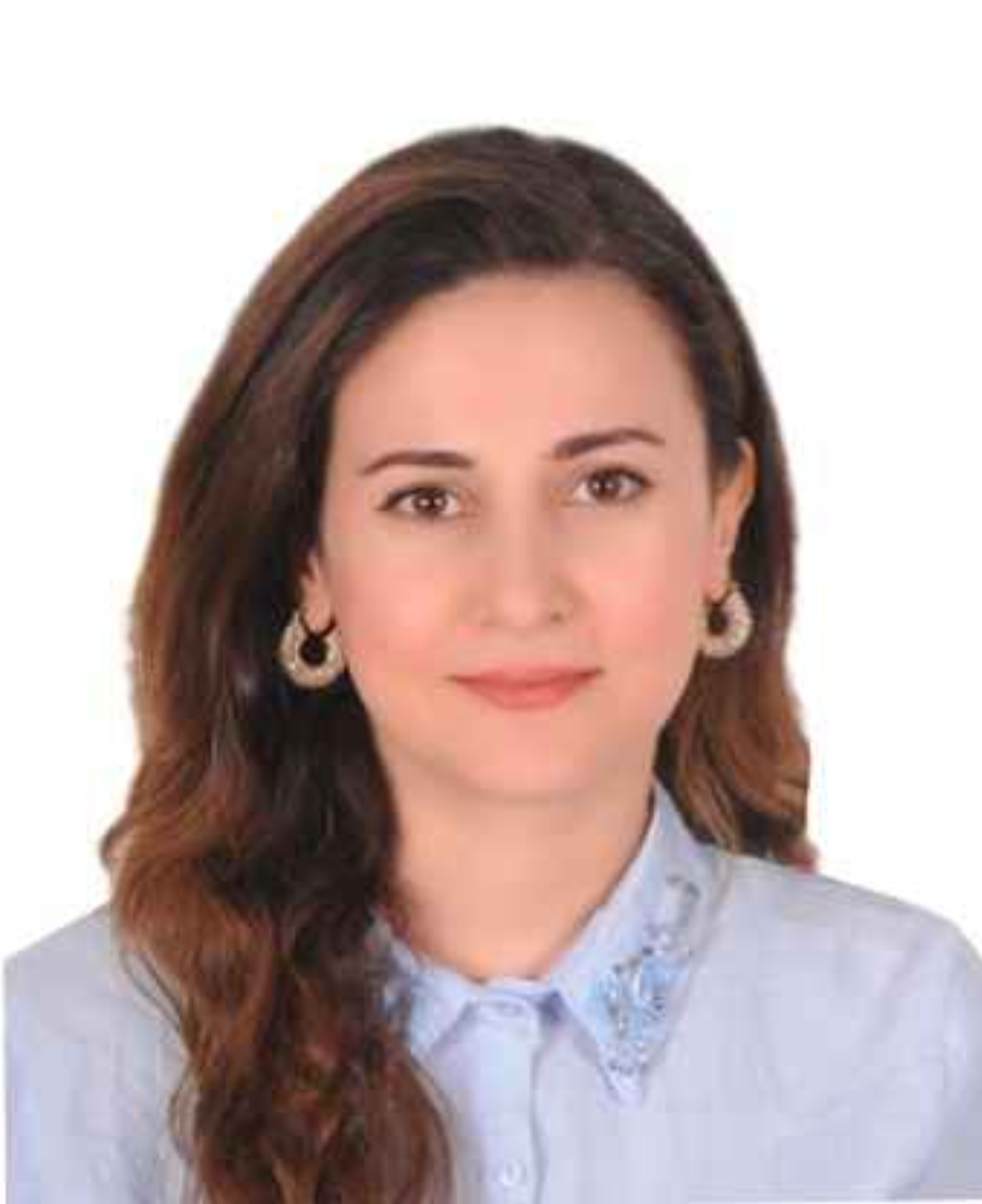 Assist. Prof. Dr. Khoshi Anwer Hasan AL-JAF