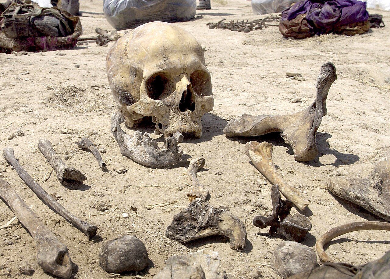 The Anfal Campaign